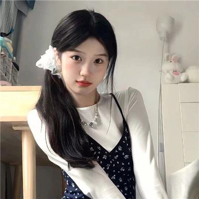 我私人的爱达荷